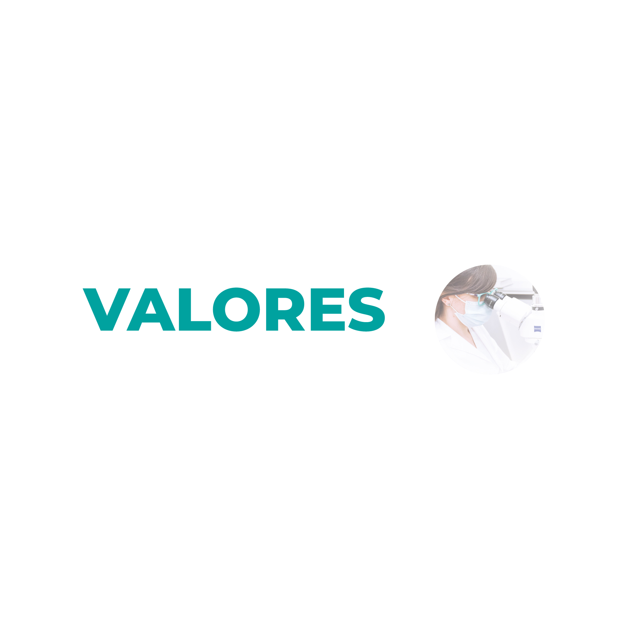 Columna 2